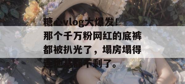糖心vlog大爆发!那个千万粉网红的底裤都被扒光了,塌房塌得连地基都不剩了。